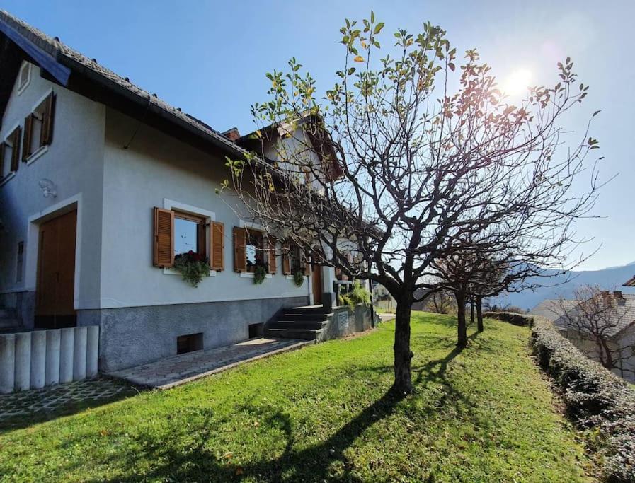 House Pucnk-Beautiful Countryside Villa Zelezniki Exteriör bild