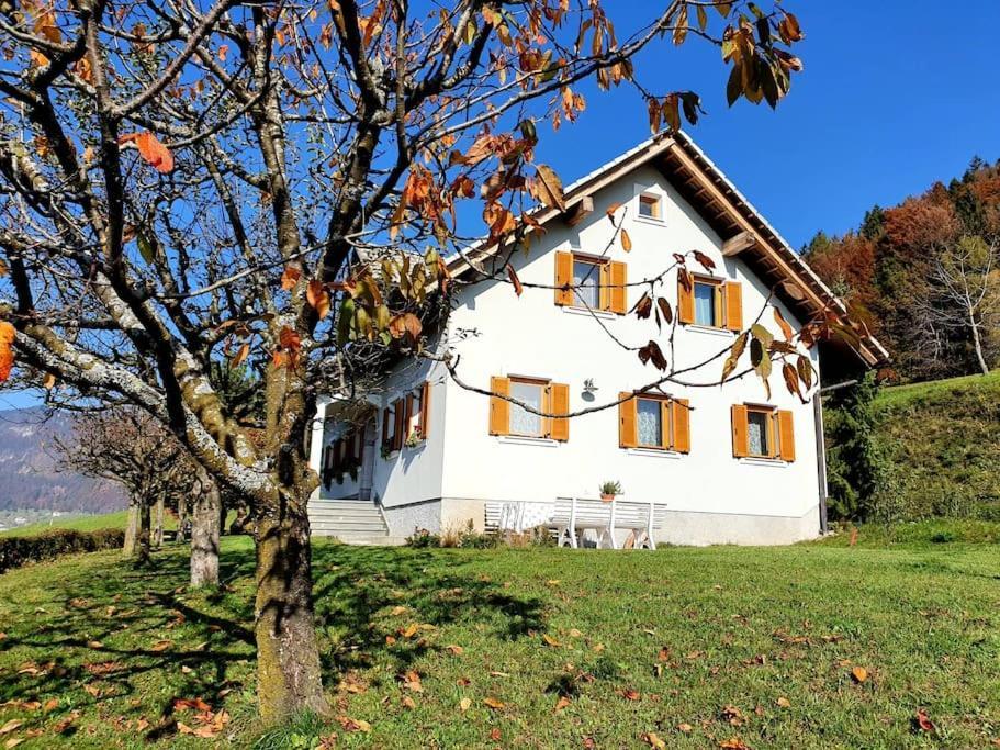 House Pucnk-Beautiful Countryside Villa Zelezniki Exteriör bild