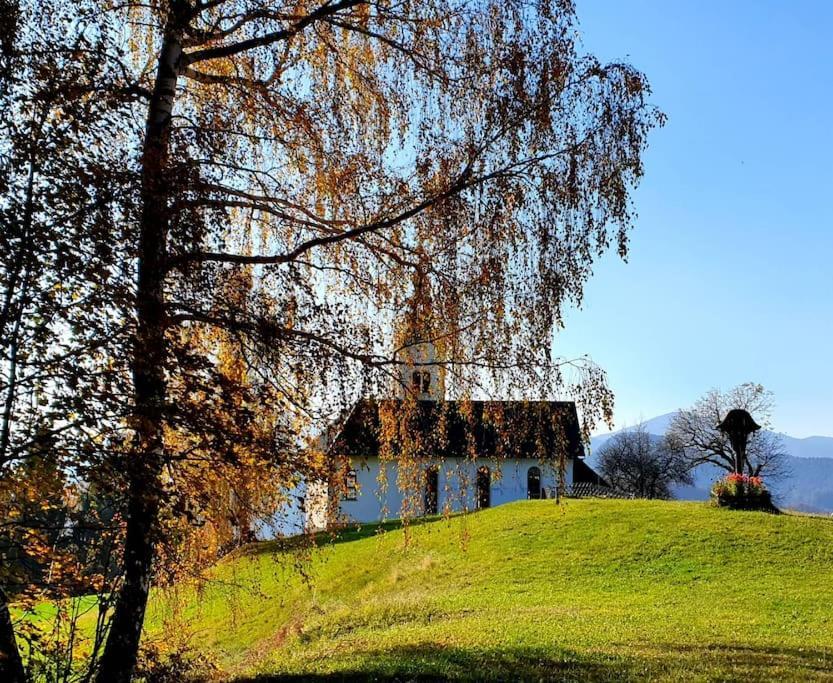 House Pucnk-Beautiful Countryside Villa Zelezniki Exteriör bild